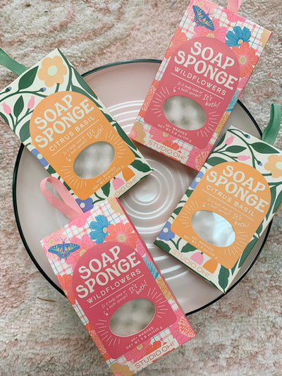 Soap Sponge